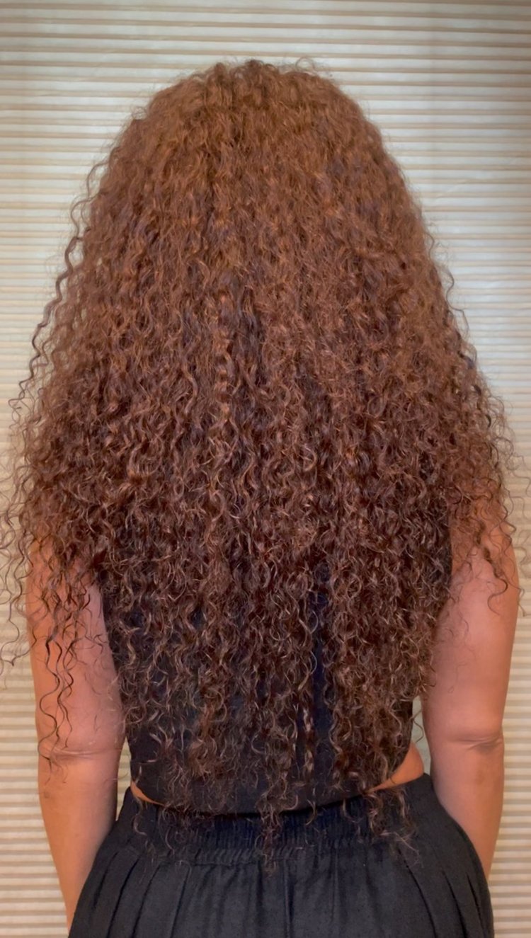 Water Wave HD Glueless Lace Wig